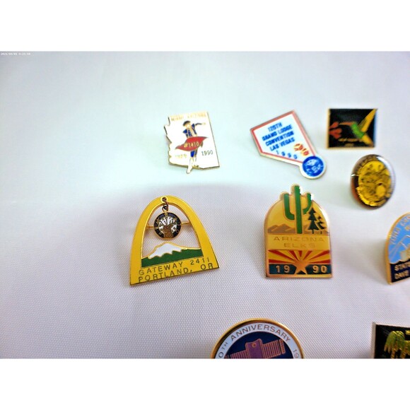 Vintage BPOE Elks Lodge Lapel Hat Vest Pins Pinback West Coast Lot Of 9 Enamel - Picture 3 of 4